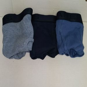 Hanes premium tagless briefs